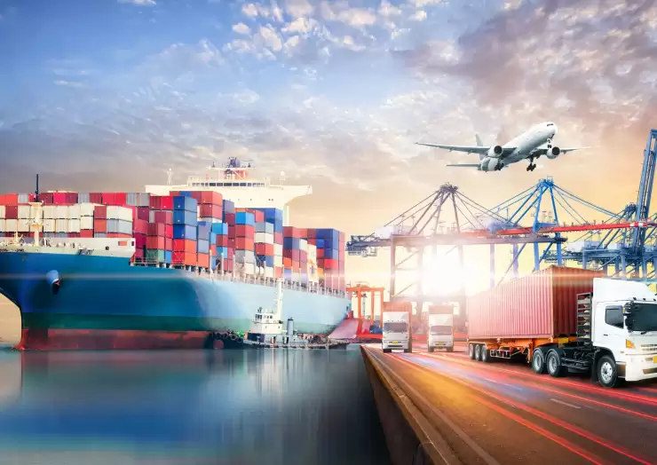 Navigating the Supply Chain: Insights and Innovations